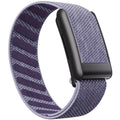 Lilac Purple