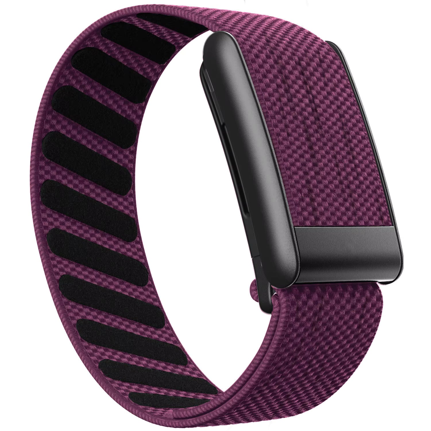 Plum Purple